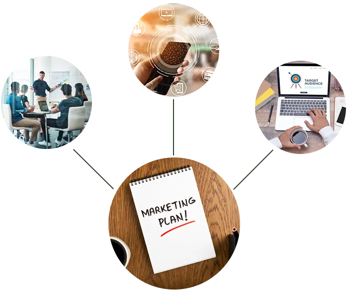 Marketing Plan Development